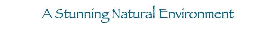 A Stunning Natural Environment